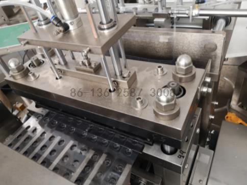 Full Automatic Batteries Paper Plastic Blister Packaging Machine