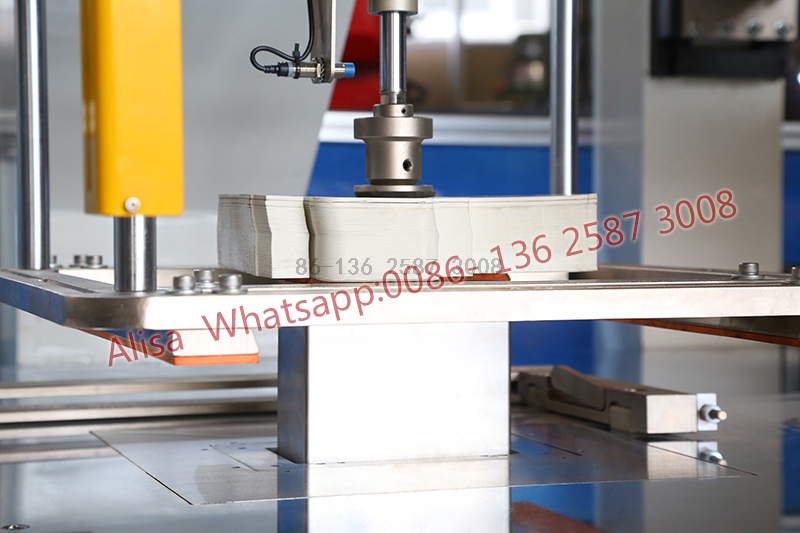  Automatic Paper Label/Tags Stripping Blanking Machine