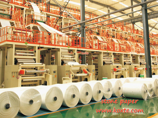 Moisture-Proofing Stone Paper for Paperboard Box