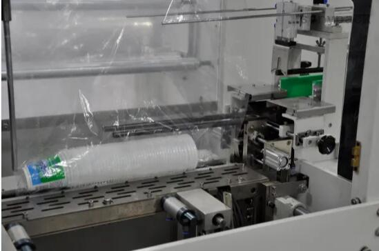 Automatic Hot Model Disposable Cup Offset Printing Machine