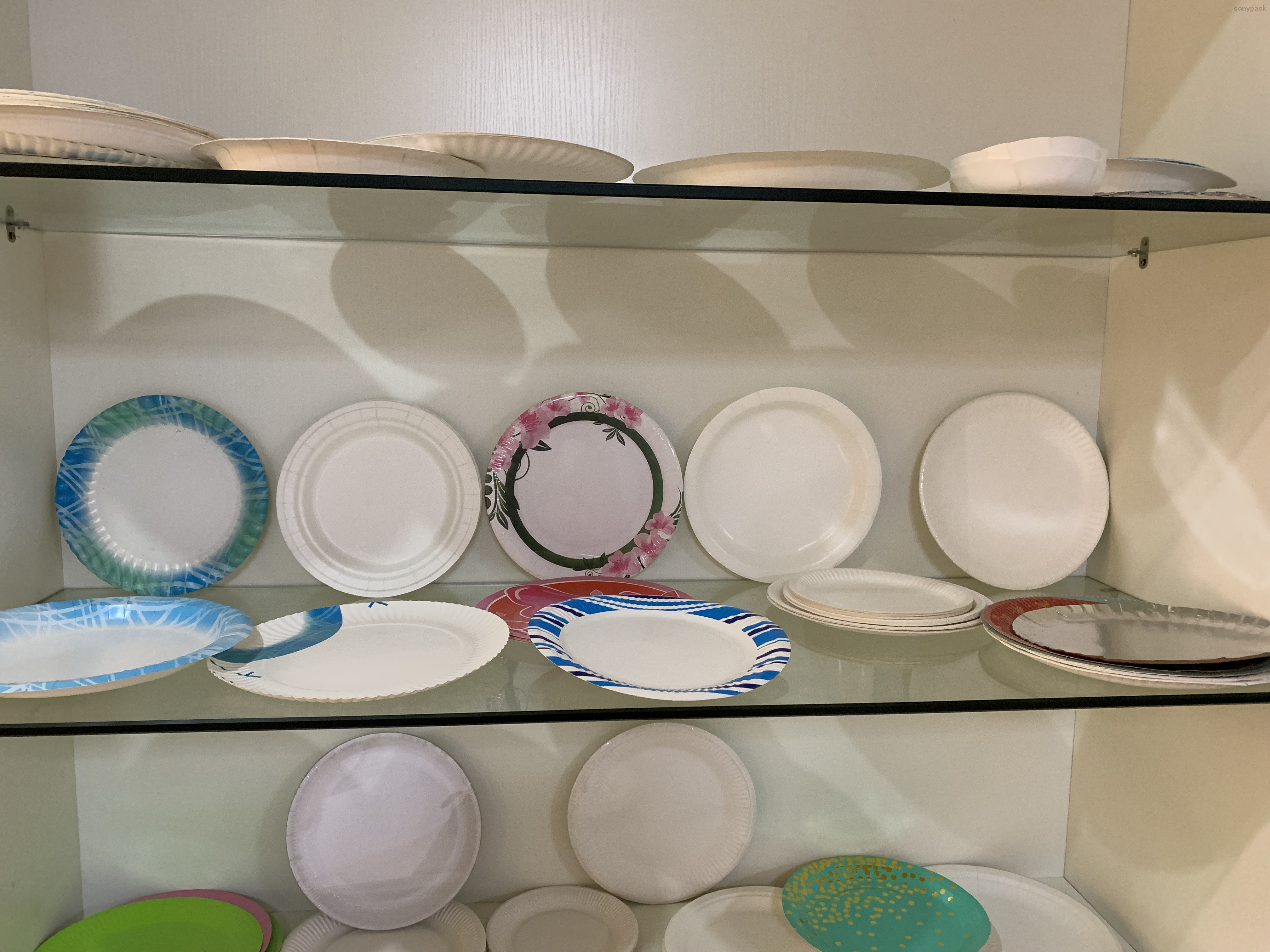 Automatic Paper Plate Making Machine for china factory